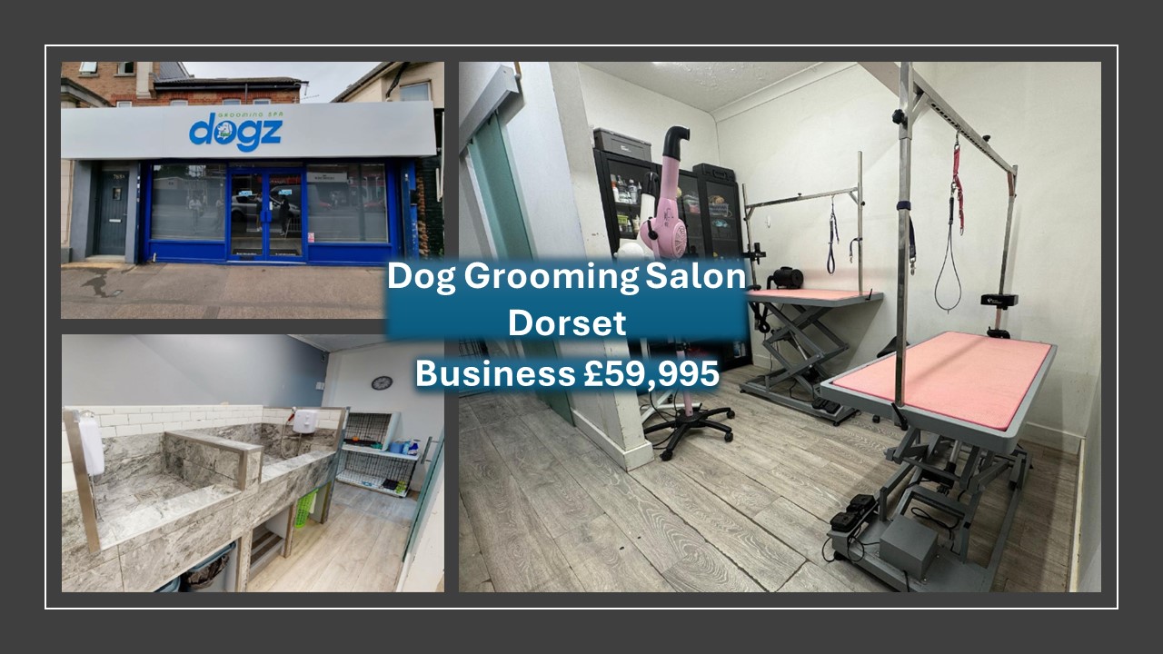 blacks business brokers images