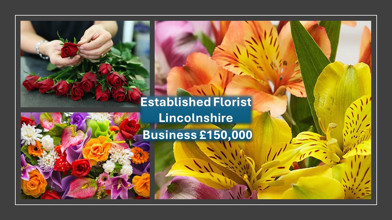 blacks business brokers images