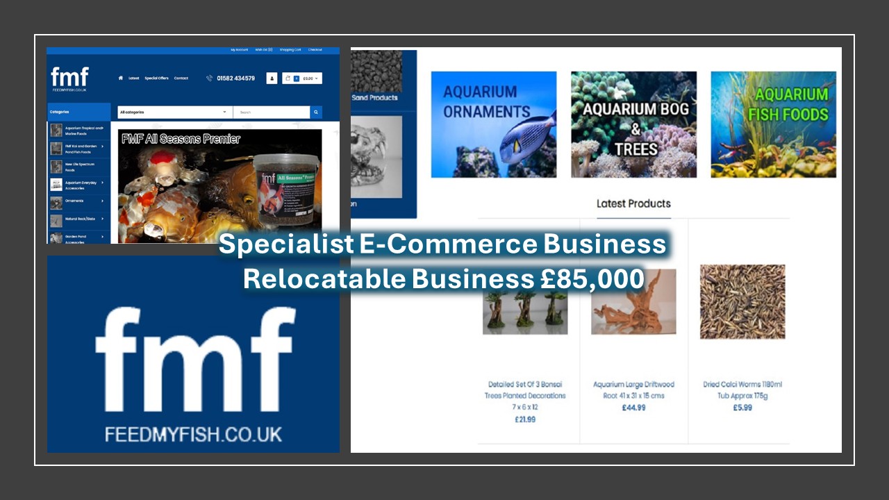 blacks business brokers images