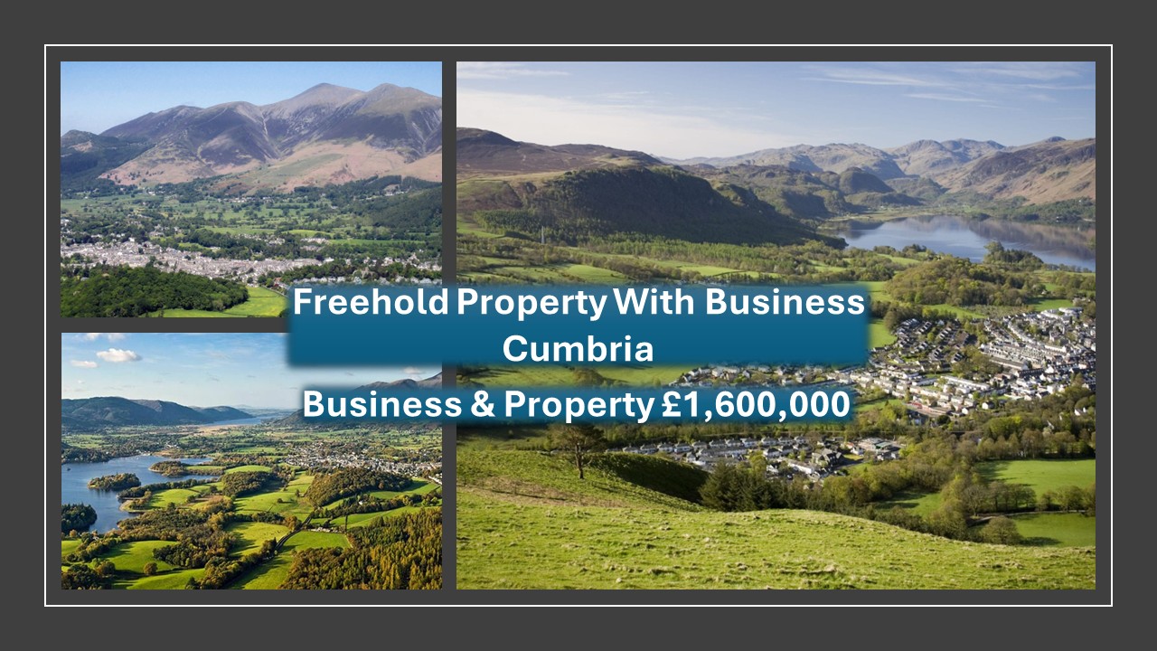 blacks business brokers